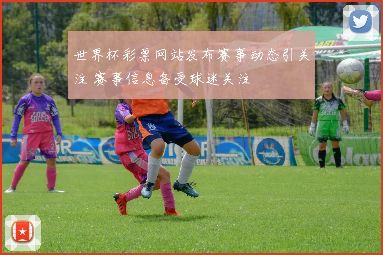 世界杯彩票网站发布赛事动态引关注 赛事信息备受球迷关注
