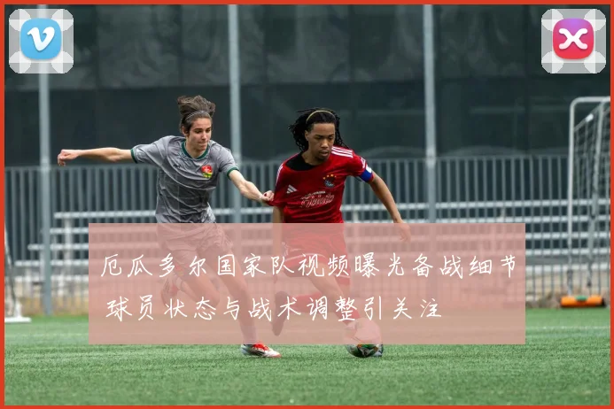 厄瓜多尔国家队视频曝光备战细节 球员状态与战术调整引关注
