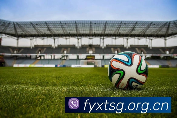 乐竞平台生态图